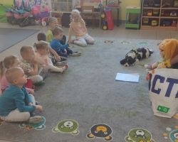 zdjęcia dzieci i kynoterapeuty podczas dogoterapii