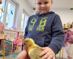 dzieci i dorośli podczas spotkania ze zwięrzętami wiejskimi