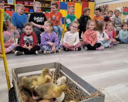 dzieci i dorośli podczas spotkania ze zwięrzętami wiejskimi