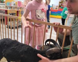 dzieci i dorośli podczas spotkania ze zwięrzętami wiejskimi