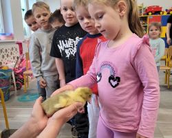 dzieci i dorośli podczas spotkania ze zwięrzętami wiejskimi