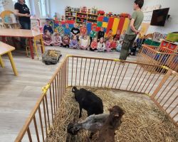 dzieci i dorośli podczas spotkania ze zwięrzętami wiejskimi