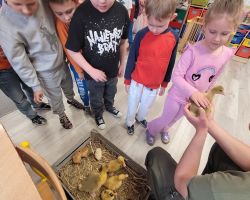 dzieci i dorośli podczas spotkania ze zwięrzętami wiejskimi