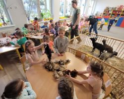 dzieci i dorośli podczas spotkania ze zwięrzętami wiejskimi