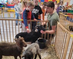 dzieci i dorośli podczas spotkania ze zwięrzętami wiejskimi