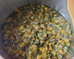 dzieci podczas zajeć przyrodniczych o mniszku lekarskim