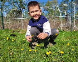 dzieci podczas zajeć przyrodniczych o mniszku lekarskim