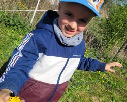 dzieci podczas zajeć przyrodniczych o mniszku lekarskim