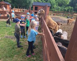 dzieci zwiedzają zagrodę edukacyjną