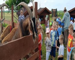 dzieci zwiedzają zagrodę edukacyjną