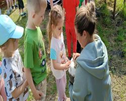 dzieci zwiedzają zagrodę edukacyjną