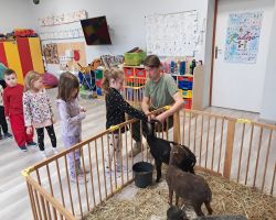 dzieci zapoznają się z żywymi zwierzętami