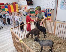 dzieci zapoznają się z żywymi zwierzętami