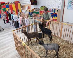 dzieci zapoznają się z żywymi zwierzętami