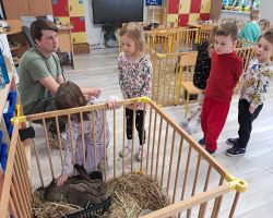 dzieci zapoznają się z żywymi zwierzętami