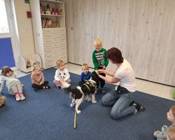 zajęcia z dogoterapi