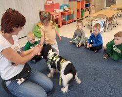 zajęcia z dogoterapi