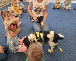 zajęcia z dogoterapi