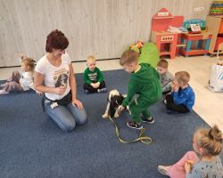 zajęcia z dogoterapi