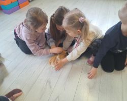 dzieci podczas spotkania z żywymi zwierzętami kangurem, agamom, królikiem