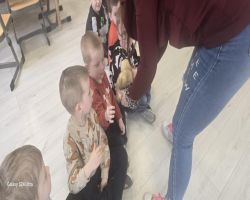 dzieci podczas spotkania z żywymi zwierzętami kangurem, agamom, królikiem