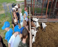 dzieci zwiedzają zagrodę edukacyjną