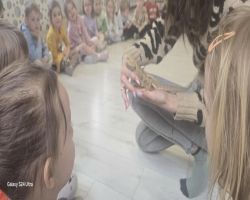 dzieci podczas spotkania z żywymi zwierzętami kangurem, agamom, królikiem