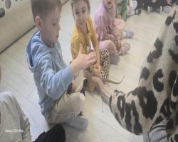 dzieci podczas spotkania z żywymi zwierzętami kangurem, agamom, królikiem