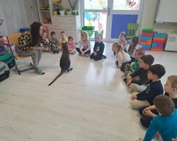 dzieci podczas spotkania z żywymi zwierzętami kangurem, agamom, królikiem