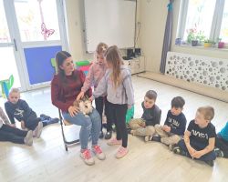 dzieci podczas spotkania z żywymi zwierzętami kangurem, agamom, królikiem