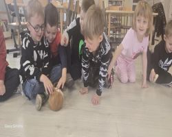 dzieci podczas spotkania z żywymi zwierzętami kangurem, agamom, królikiem