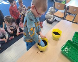 dzieci sadzą rośliny