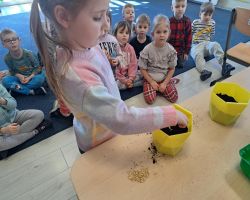 dzieci sadzą rośliny