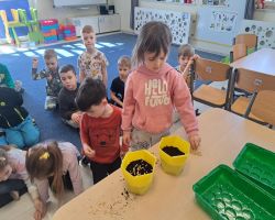 dzieci sadzą rośliny