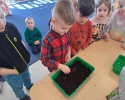 dzieci sadzą rośliny