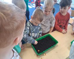 dzieci sadzą rośliny