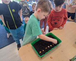 dzieci sadzą rośliny