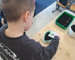 dzieci sadzą rośliny