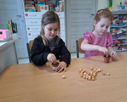 dzieci sadzą rośliny