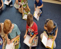 realizacja narodowego programu czytelnictwa