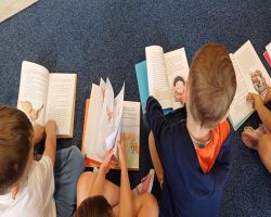 realizacja narodowego programu czytelnictwa