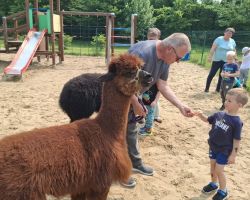 dzieci podczas spotkania z alpakami