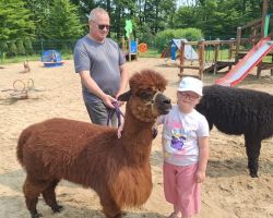 dzieci podczas spotkania z alpakami