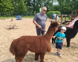 dzieci podczas spotkania z alpakami