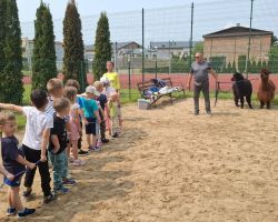 dzieci podczas spotkania z alpakami