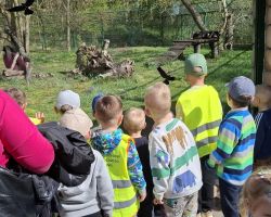 dzieci i dorośli podczas warsztatów i zwiedzania ogrodu zoobotanicznego