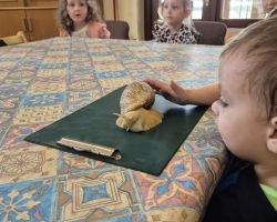 dzieci i dorośli podczas warsztatów i zwiedzania ogrodu zoobotanicznego