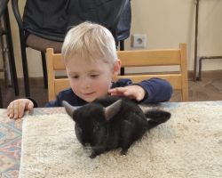 dzieci i dorośli podczas warsztatów i zwiedzania ogrodu zoobotanicznego