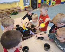 dzieci podczas zakładania wiosennej hodowli roślin