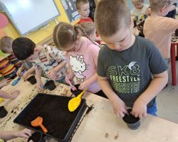 dzieci podczas zakładania wiosennej hodowli roślin